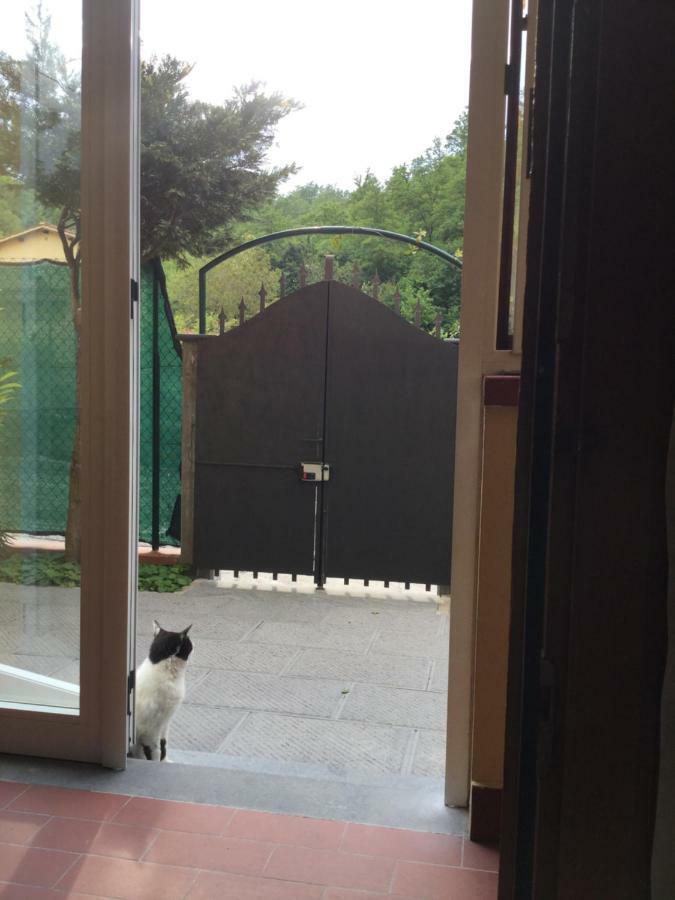 Casa Taiuti Apartamento San Piero a Sieve Exterior foto